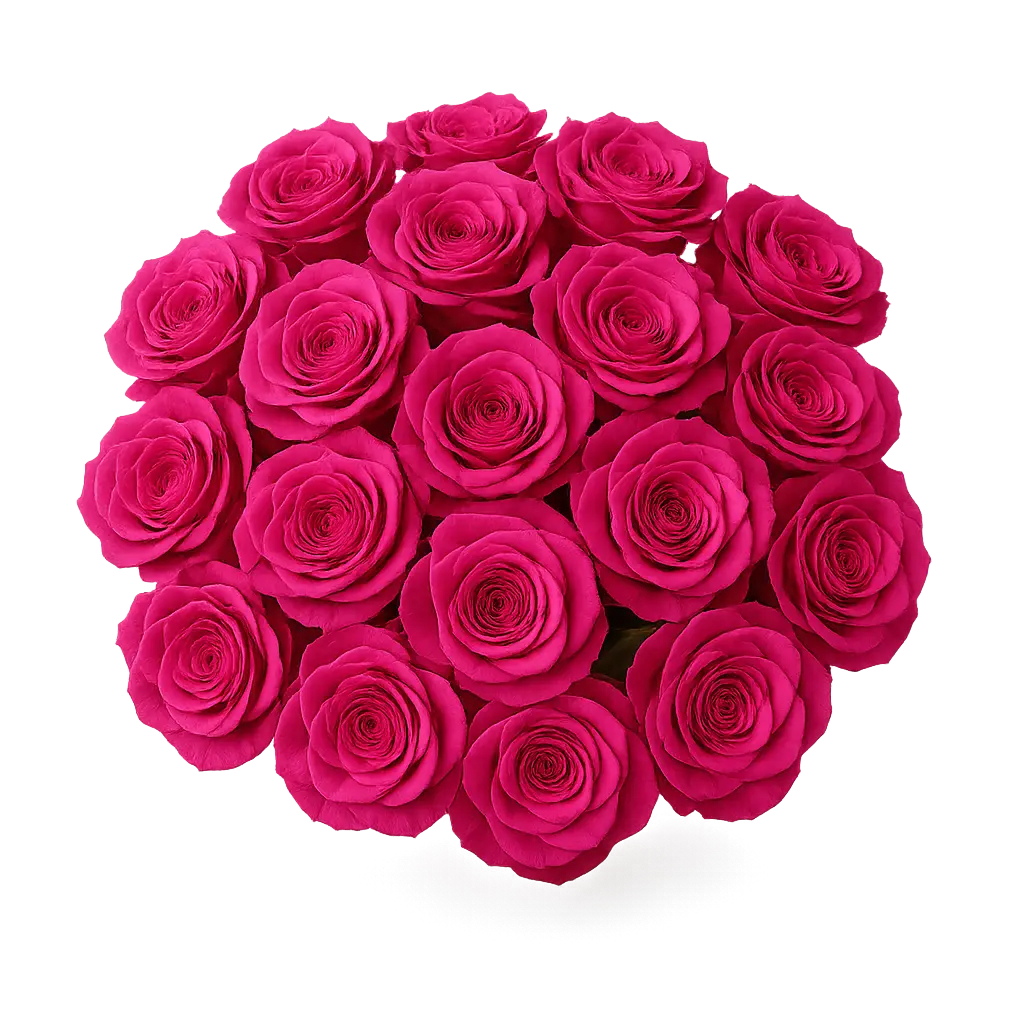 Gulsera-Flower